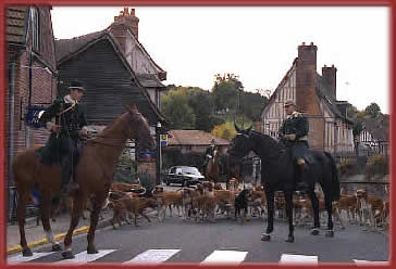 Chasse a courre au depart des chambres d'hote Le Kilt a Lyons la Foret dans l'eure en Normandie